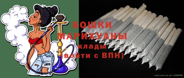 прущая мука Инсар