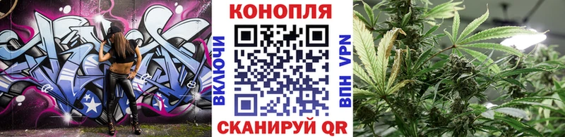 Канабис Bruce Banner  Купить где  Гусь-Хрустальный 